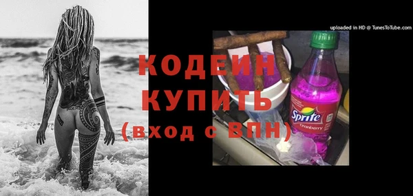 apvp Арсеньев