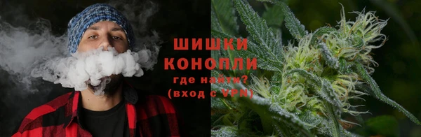 ECSTASY Армянск